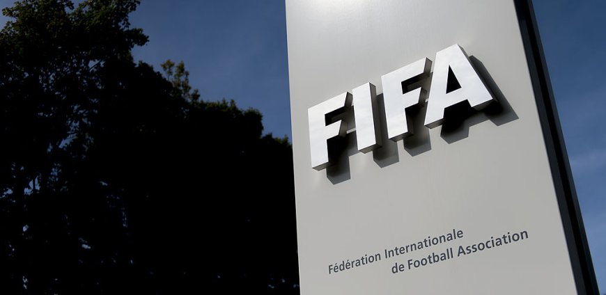 អង្គការលើកលែងទោសជំរុញឱ្យ FIFA វាយតម្លៃសិទ្ធិមនុស្ស  មុនពេលឲ្យធ្វើម្ចាស់ផ្ទះ
